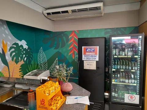 Grafismos tropicais no ambiente