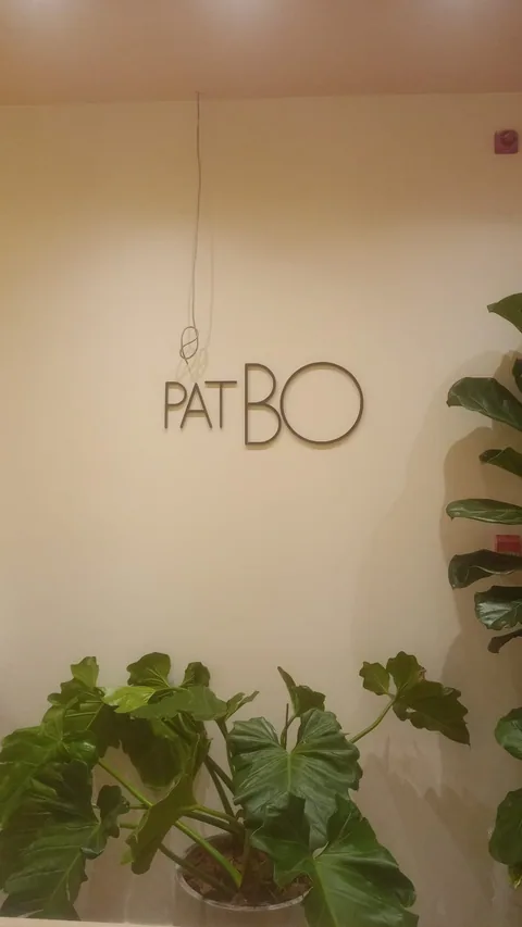 PatBO: identificação de marca